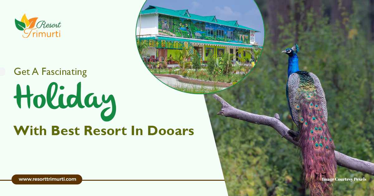 Get A Fascinating Holiday With Best Resort In Dooars