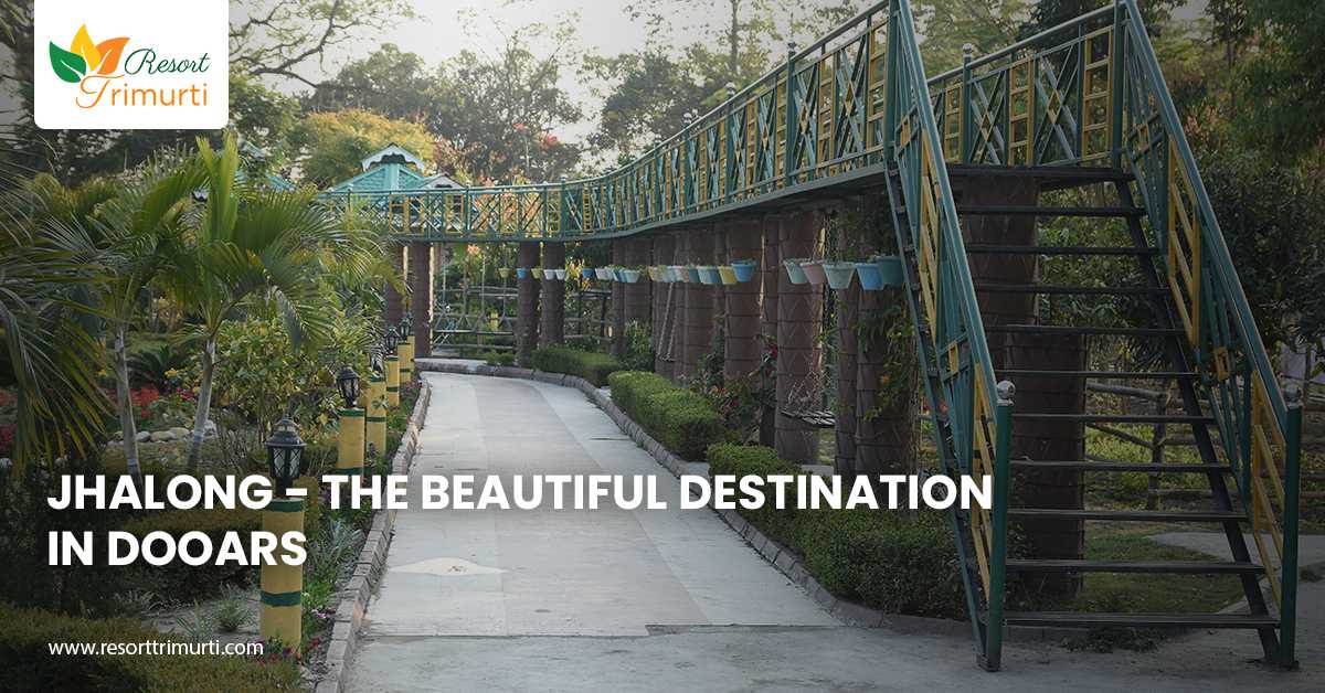 Jhalong - The Beautiful Destination in Dooars