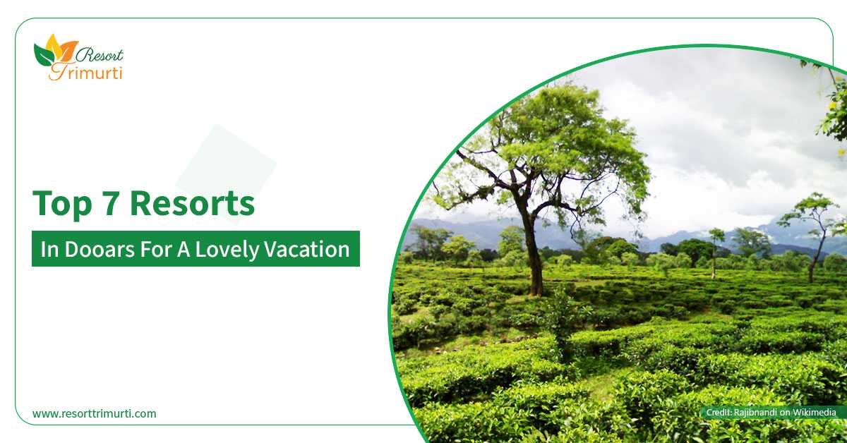 Top 7 Resorts in Dooars for a lovely vacation