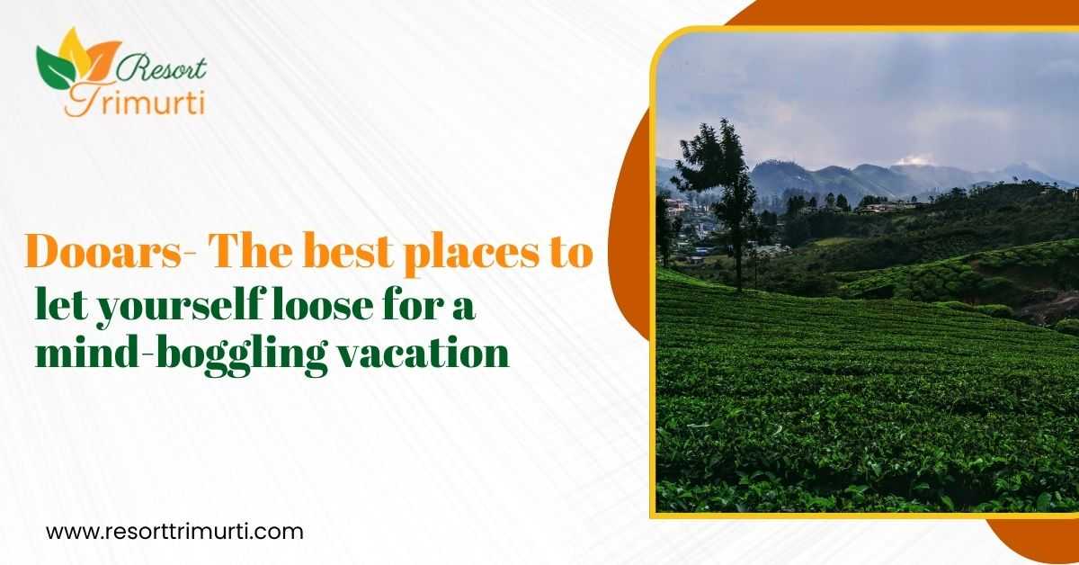 Dooars Travel Guide featuring lush tea gardens and Himalayan foothills in North Bengal