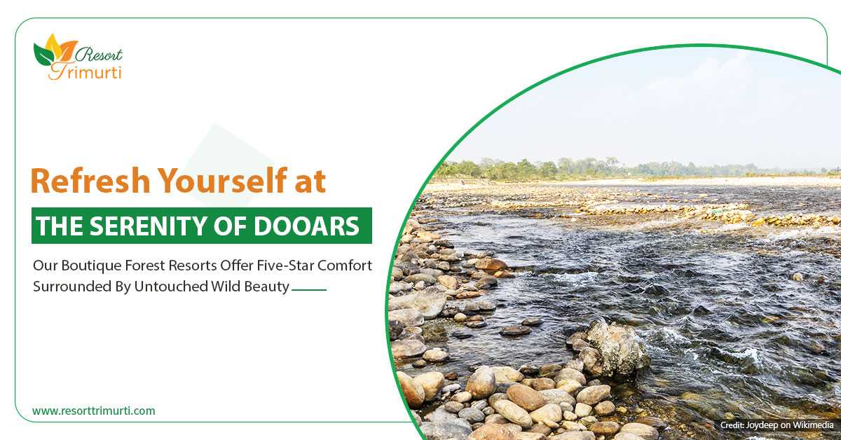 Refresh Yourself at The Serenity of Dooars
