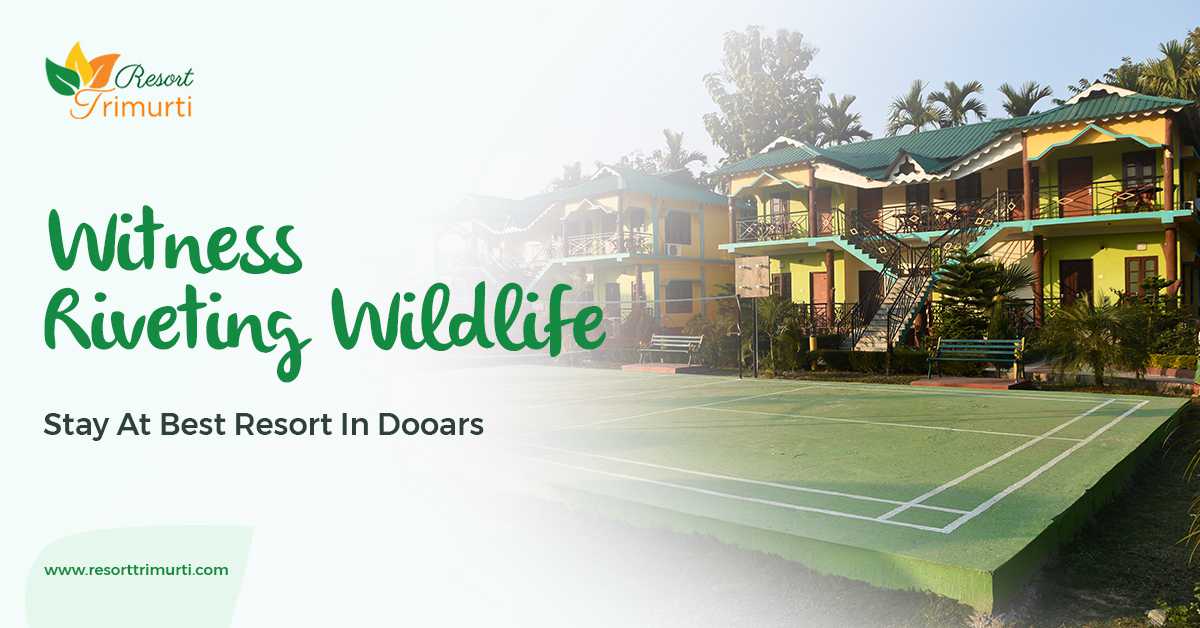 Witness Riveting Wildlife - Stay At Best Resort In Dooars