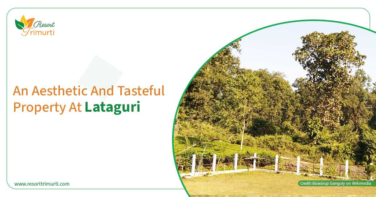 An Aesthetic And Tasteful Property at Lataguri