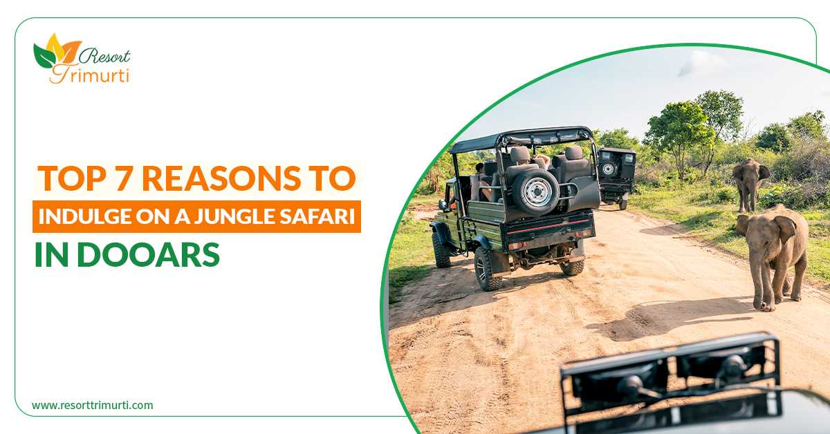 Top 7 Reasons To Indulge On A Jungle Safari In Dooars