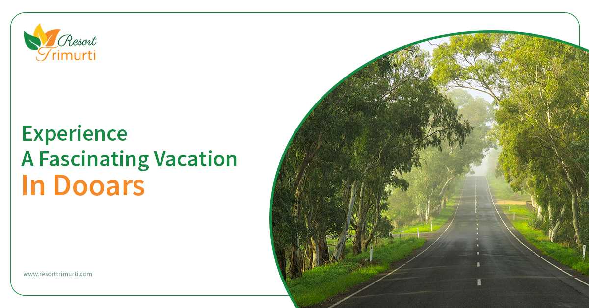 hotel in murti dooars