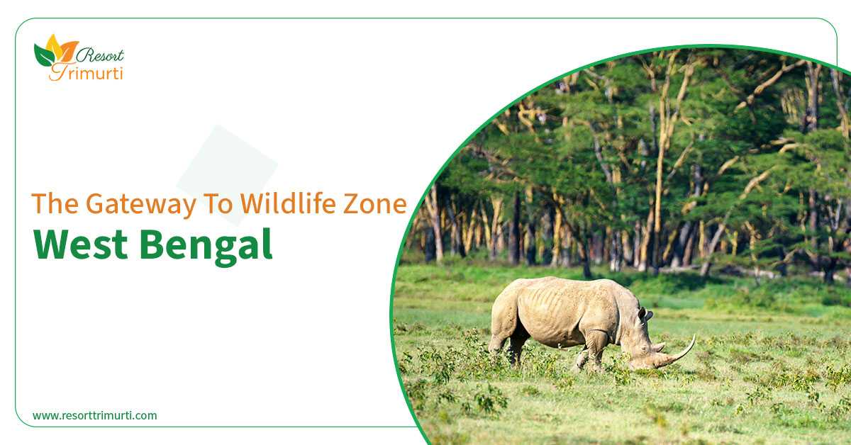 The Gateway to Wildlife Zone West Bengal