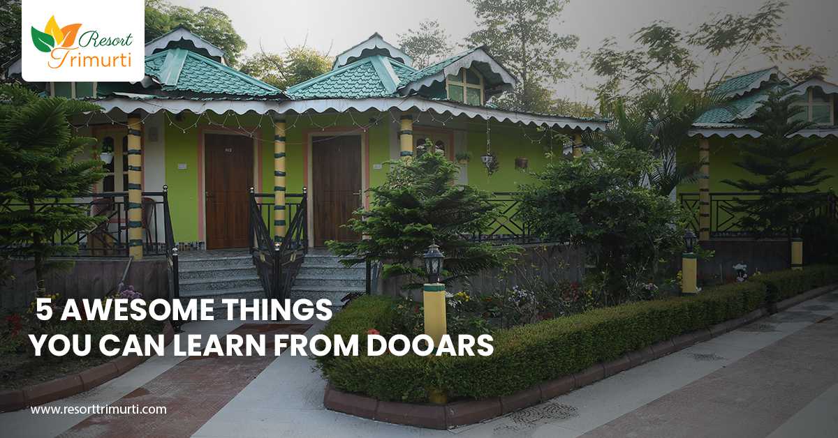 5 Awesome Things You Can Learn From Dooars