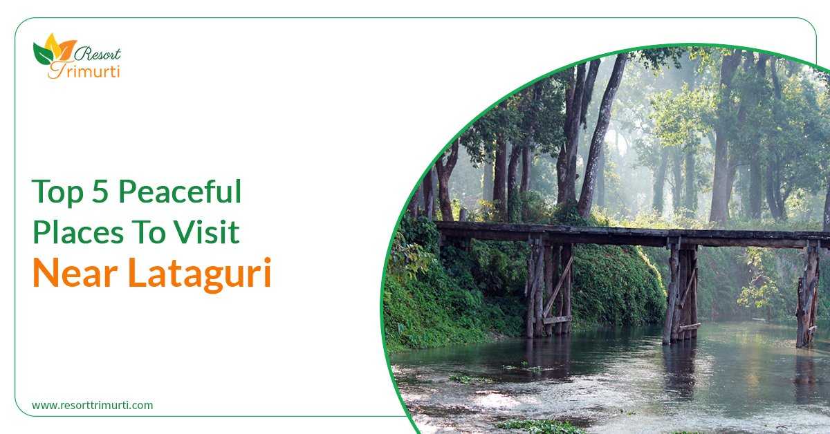 Top 5 Peaceful Places To Visit Near Lataguri In Your Next Dooars Trip