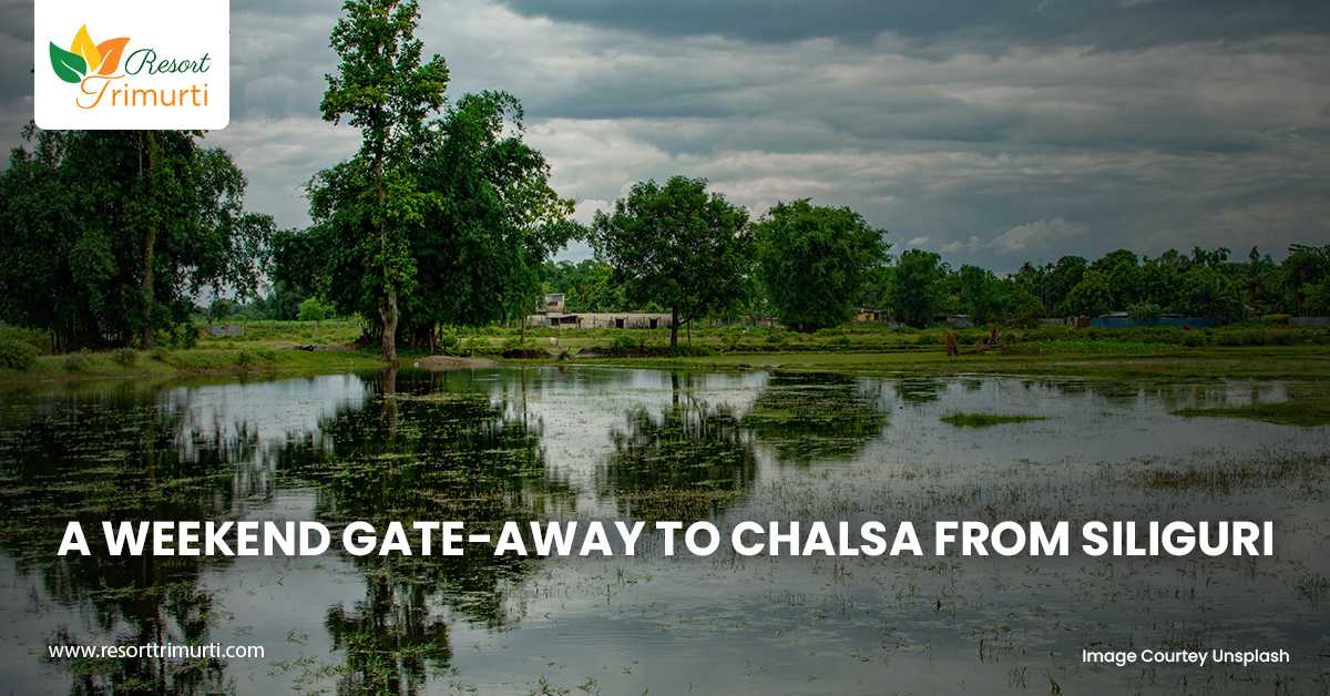 A Weekend Gate-away to Chalsa from Siliguri
