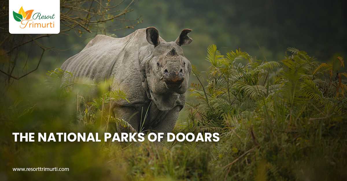 The National Parks of Dooars
