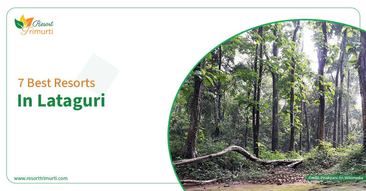 7 Best Resorts in Lataguri Trends for 2019