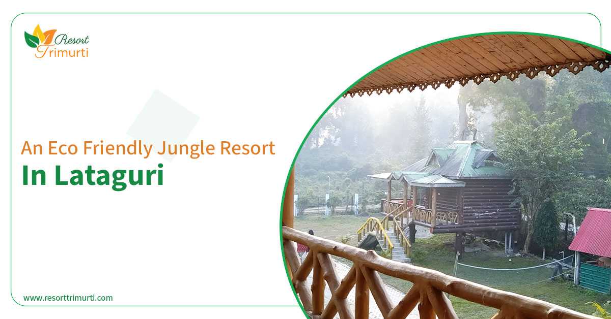 An Eco-Friendly Jungle Resort in Lataguri