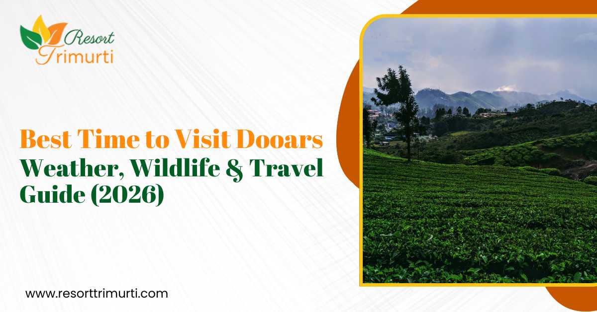 Best Time to Visit Dooars (2026) &ndash; Weather, Safari & Travel Tips