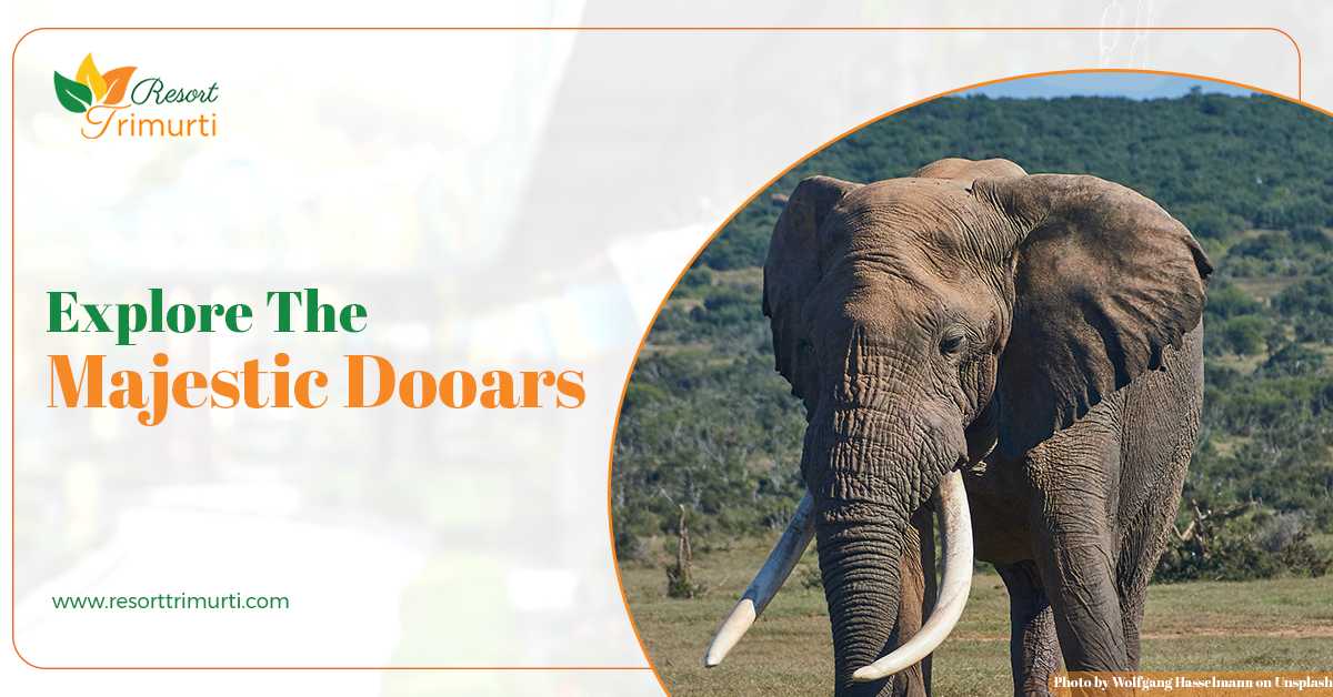 Best Places To Visit In Dooars