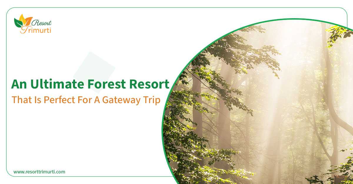 An Ultimate Forest Resort That is Perfect For A Getaway Trip