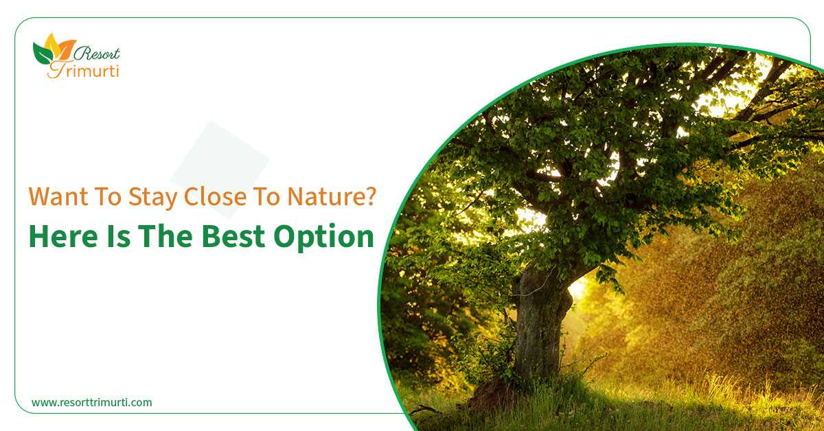Want To Stay Close To Nature? Here is The Best Option