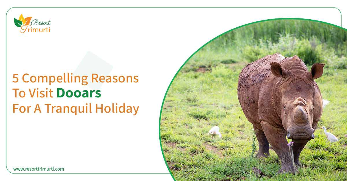 5 Compelling Reasons To Visit Dooars For A Tranquil Holiday