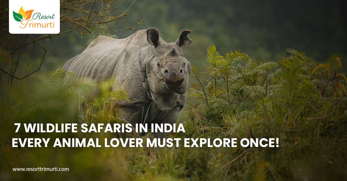 7 wildlife safaris in India every animal lover must explore once!