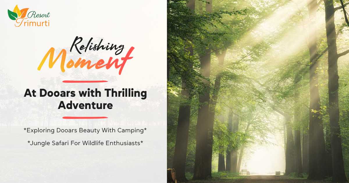 Relishing Moment at Dooars with Thrilling Adventure