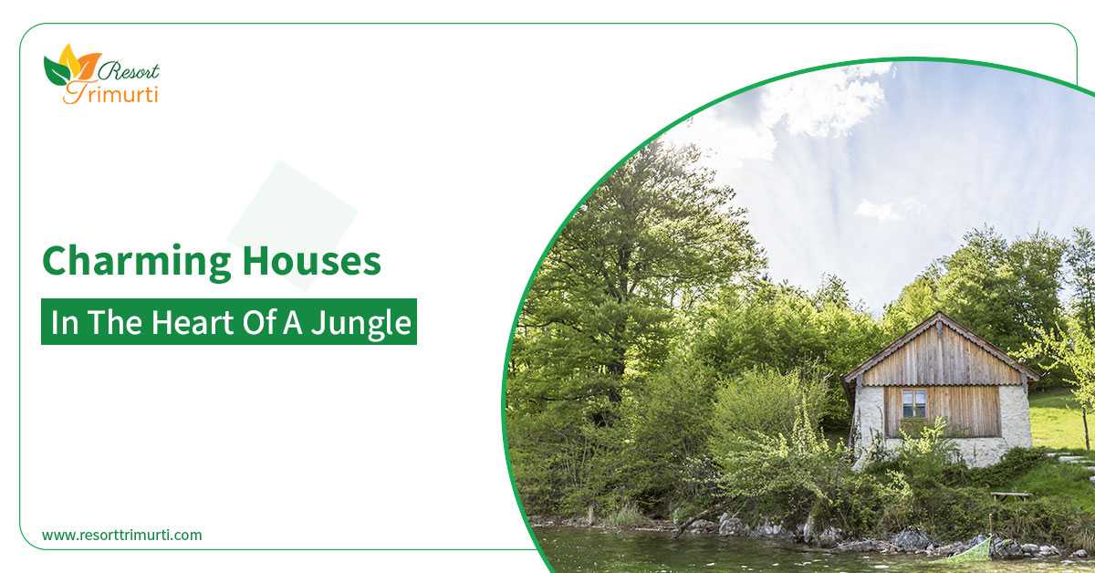 Charming Houses in the Heart of a Jungle