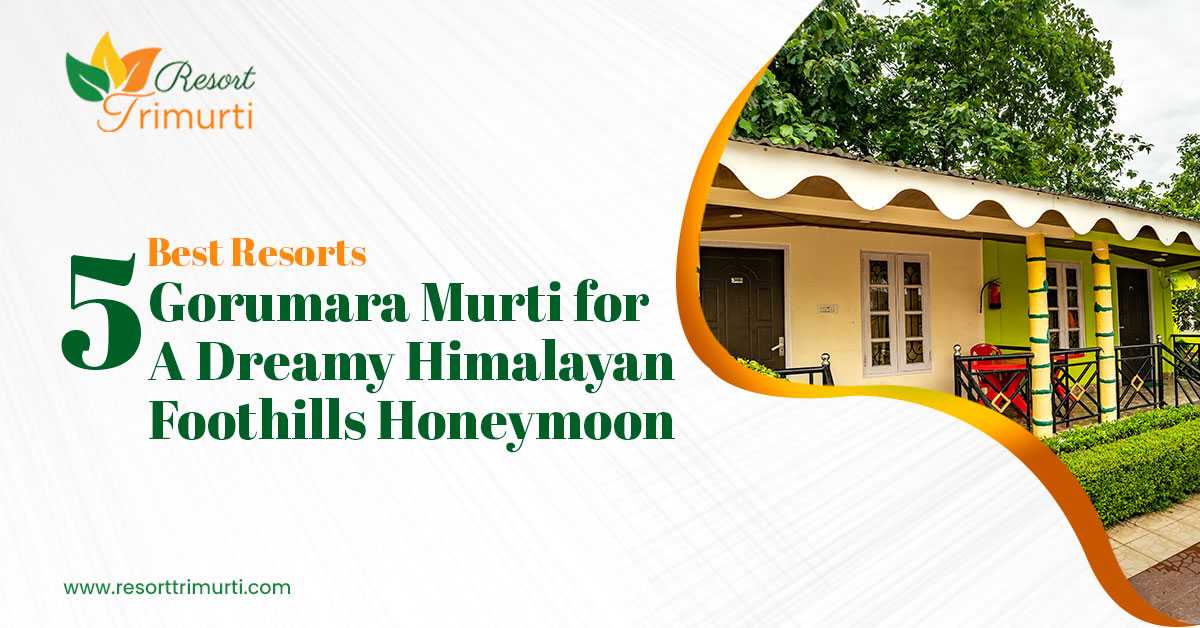 5 Best Resorts in Gorumara Murti for a Dreamy Himalayan Foothills Honeymoon