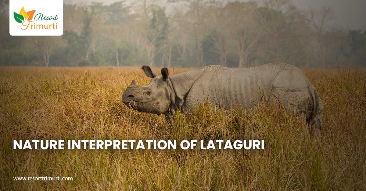 Nature Interpretation of Lataguri