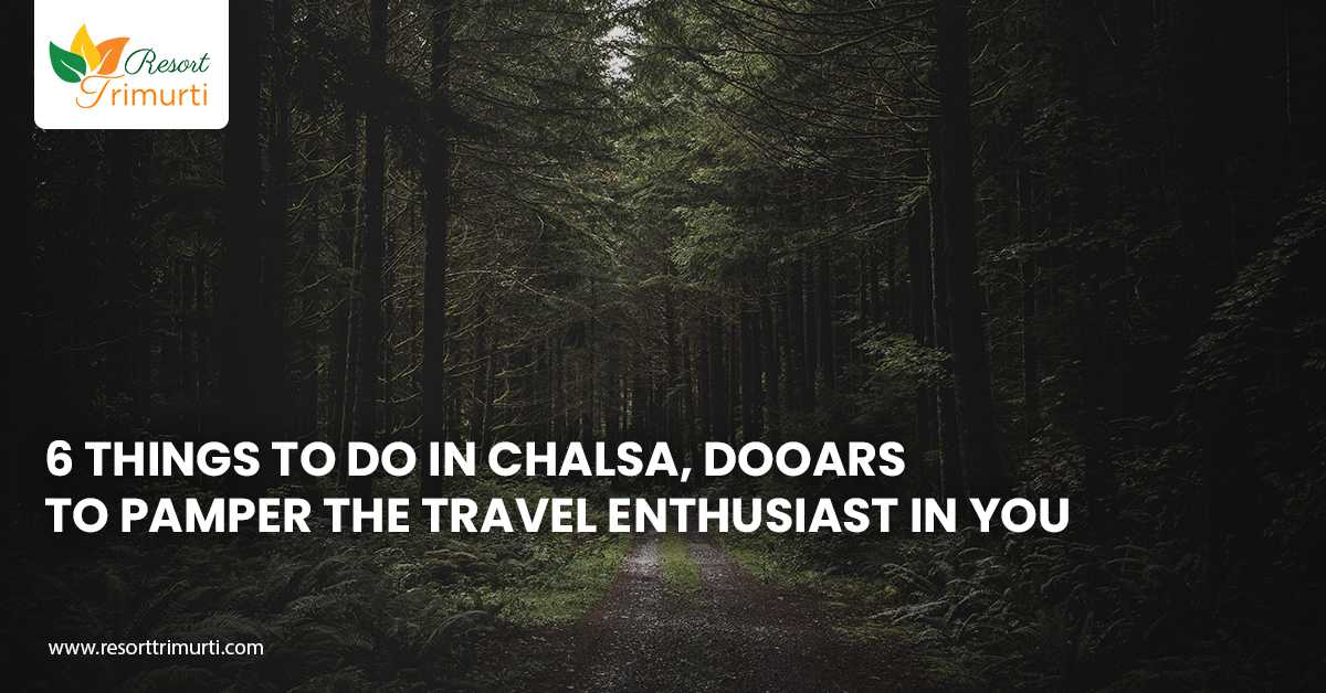 6 Things to Do in Chalsa, Dooars to Pamper the Travel Enthusiast in You