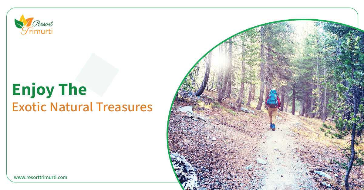 Enjoy The Exotic Natural Treasures