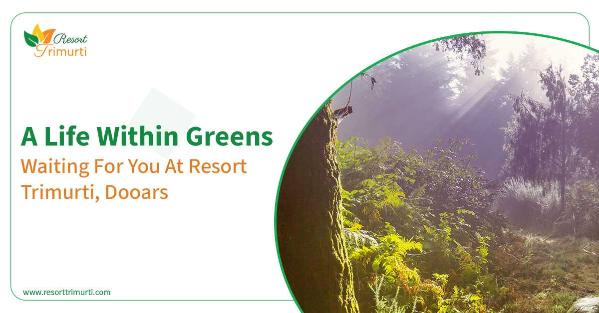 A Life Within Greens - Waiting For You at Resort Trimurti, Dooars