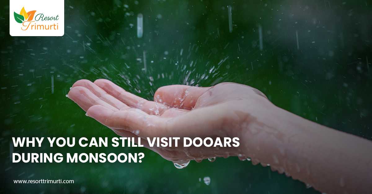 Why You Can Still Visit Dooars during Monsoon?