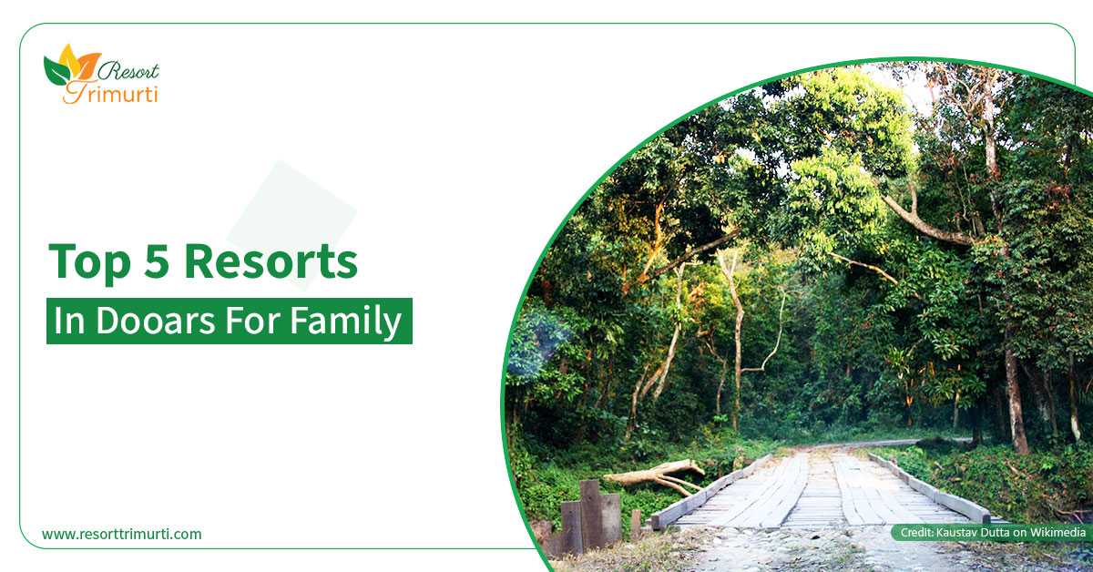 Top 5 Resorts in Dooars for Family