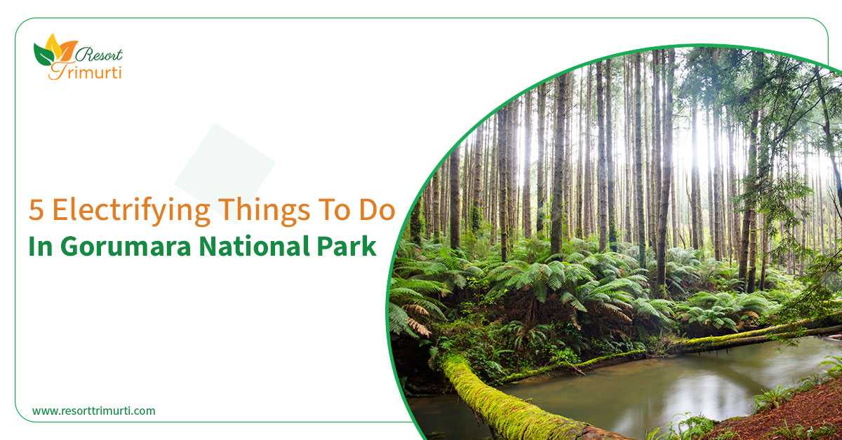 5 Electrifying Things To Do In Gorumara National Park