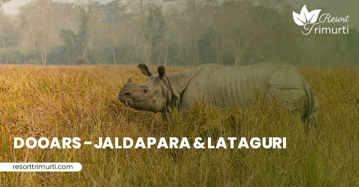 Dooars - Jaldapara & Lataguri