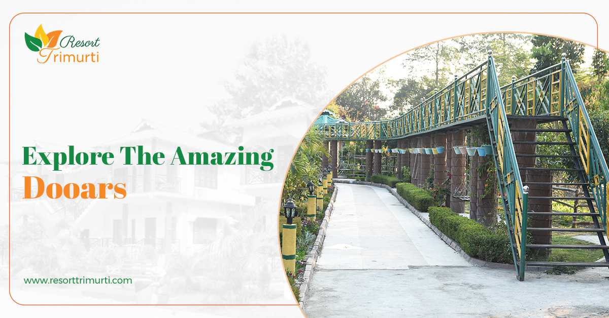Get Ready For Your Best Hotel While Visiting Dooars