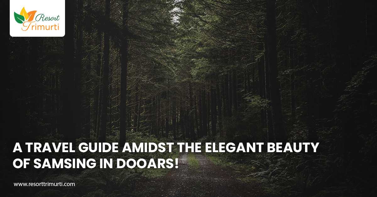 A travel guide amidst the elegant beauty of Samsing in Dooars!