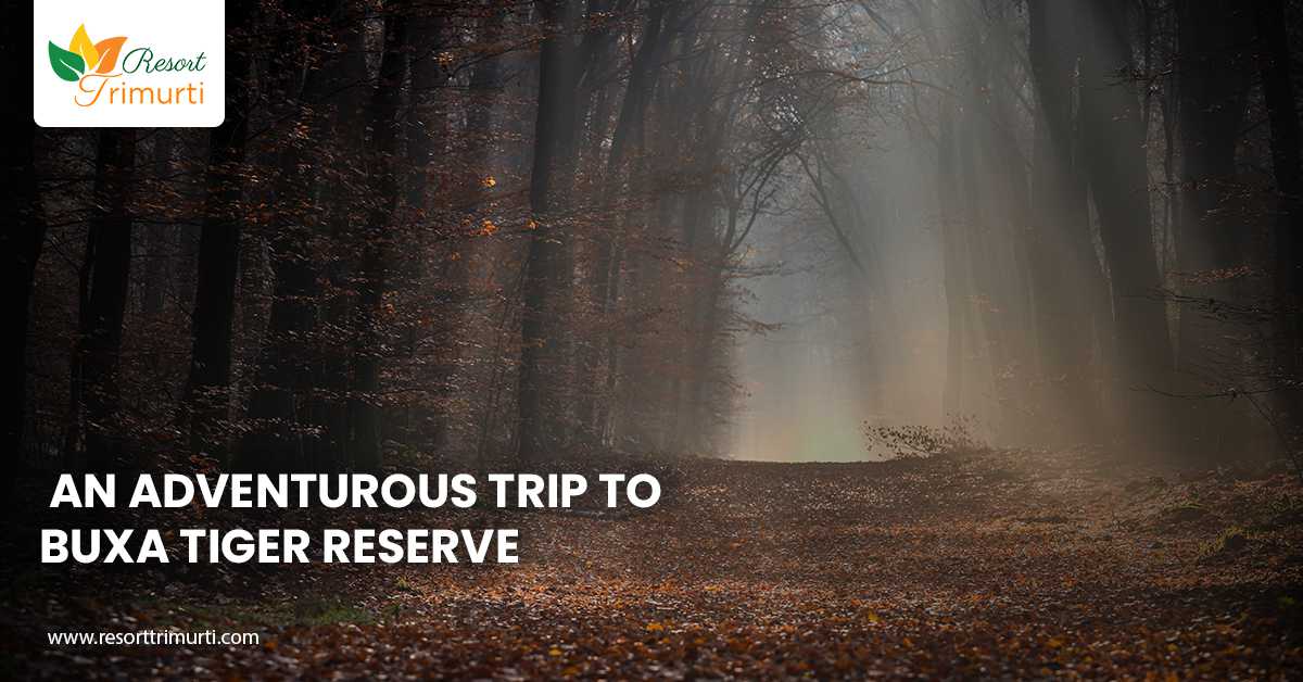 An Adventurous Trip To Buxa Tiger Reserve