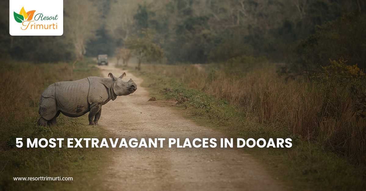 5 Most Extravagant Places in Dooars