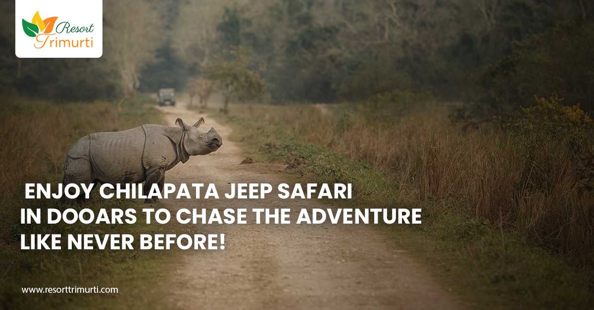 Enjoy Chilapata Jeep Safari in Dooars to Chase the Adventure Like Never Before!