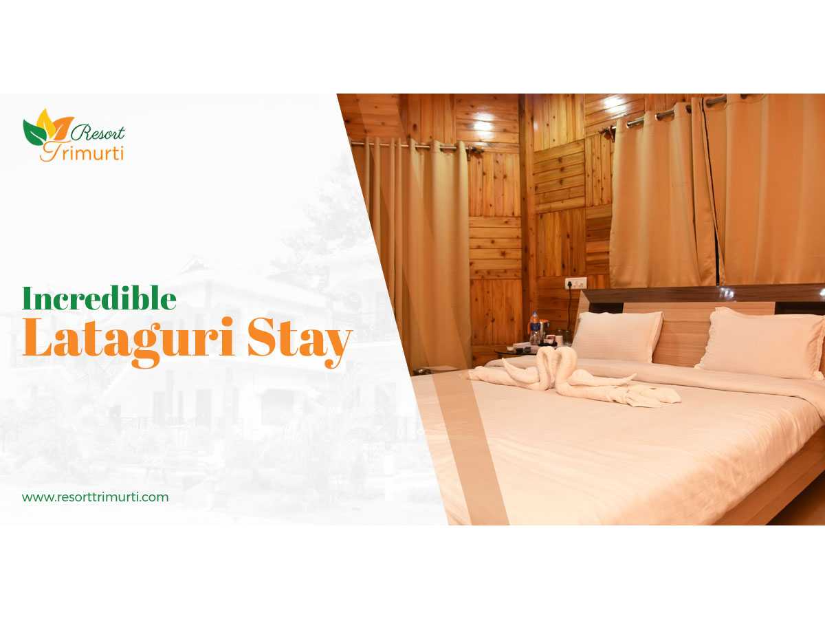 Feel The Adventurous Vibes Of Lataguri
