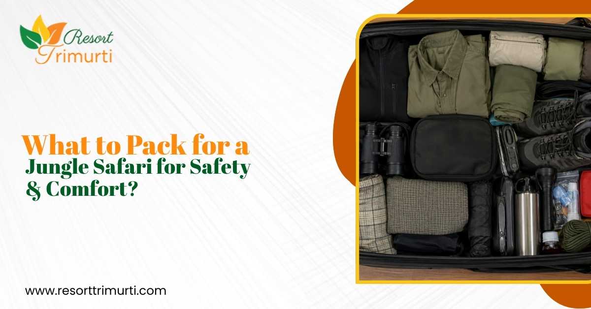 What to Pack for a Jungle Safari for Safety and Comfort?