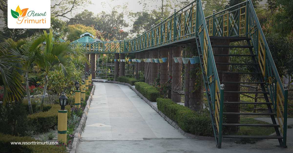 The best time to visit the small quaint hamlet of Lataguri in Dooars