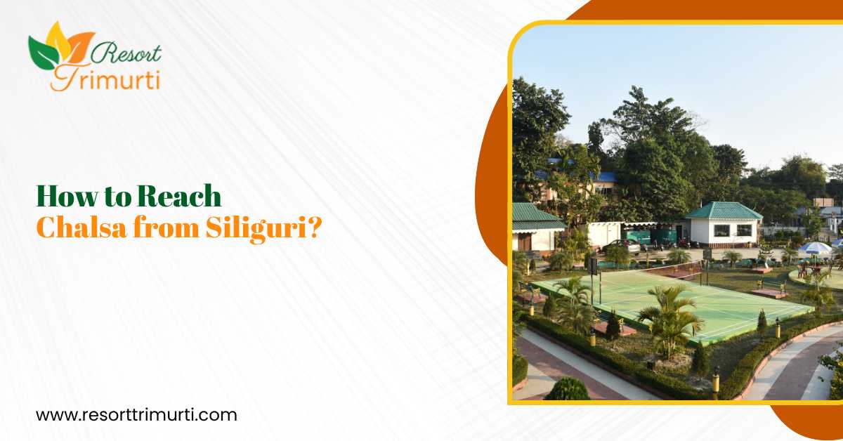 Resort Trimurti in Chalsa with scenic greenery and tennis court near Siliguri Dooars travel stay