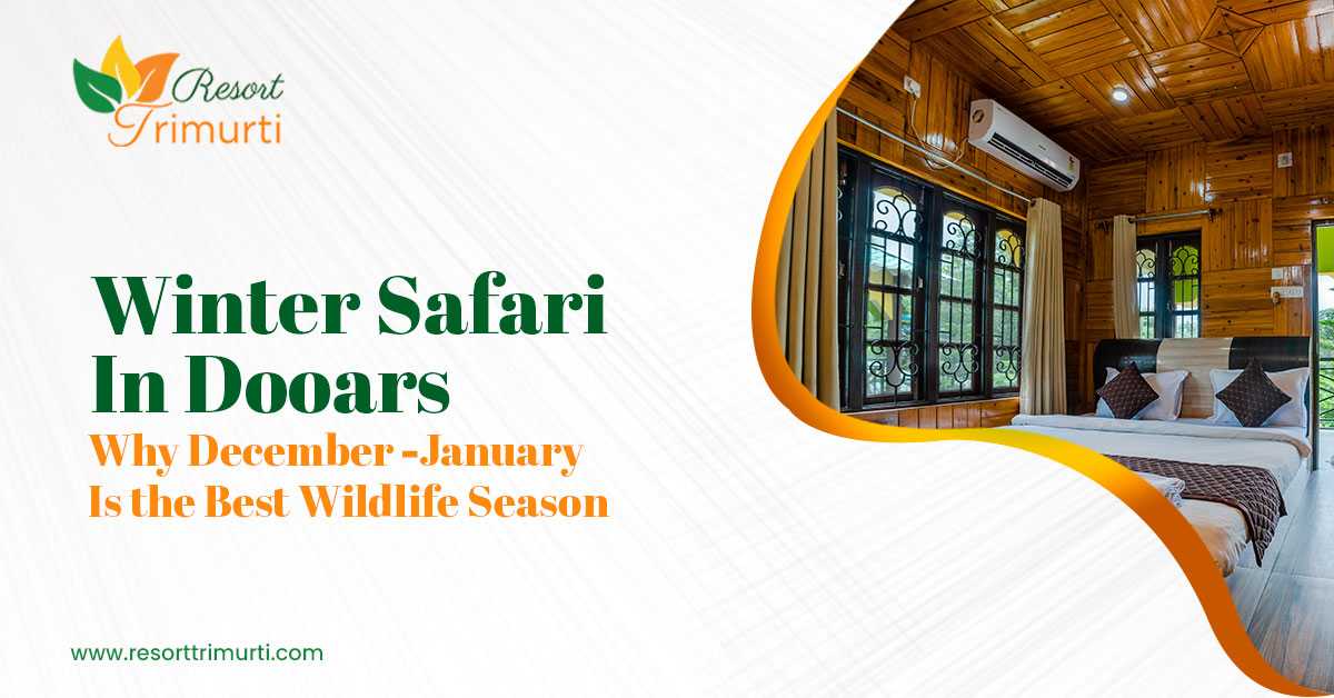 Winter Safari in Dooars: Why December&ndash;January Is the Best Wildlife Season