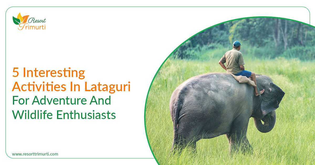5 Interesting Activities In Lataguri For Adventure And Wildlife Enthusiasts