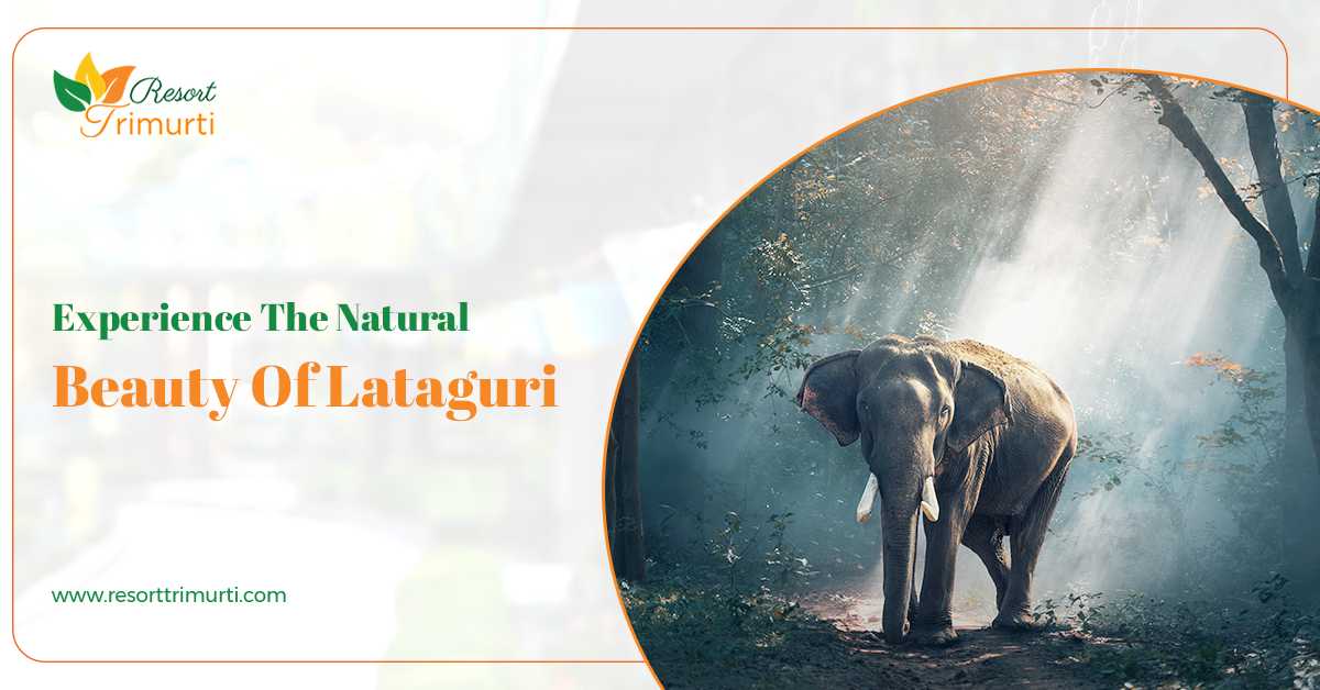 Explore The Best Places In Lataguri