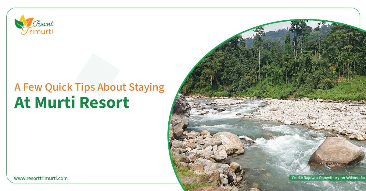 A Few Quick Tips about Staying at Murti Resort
