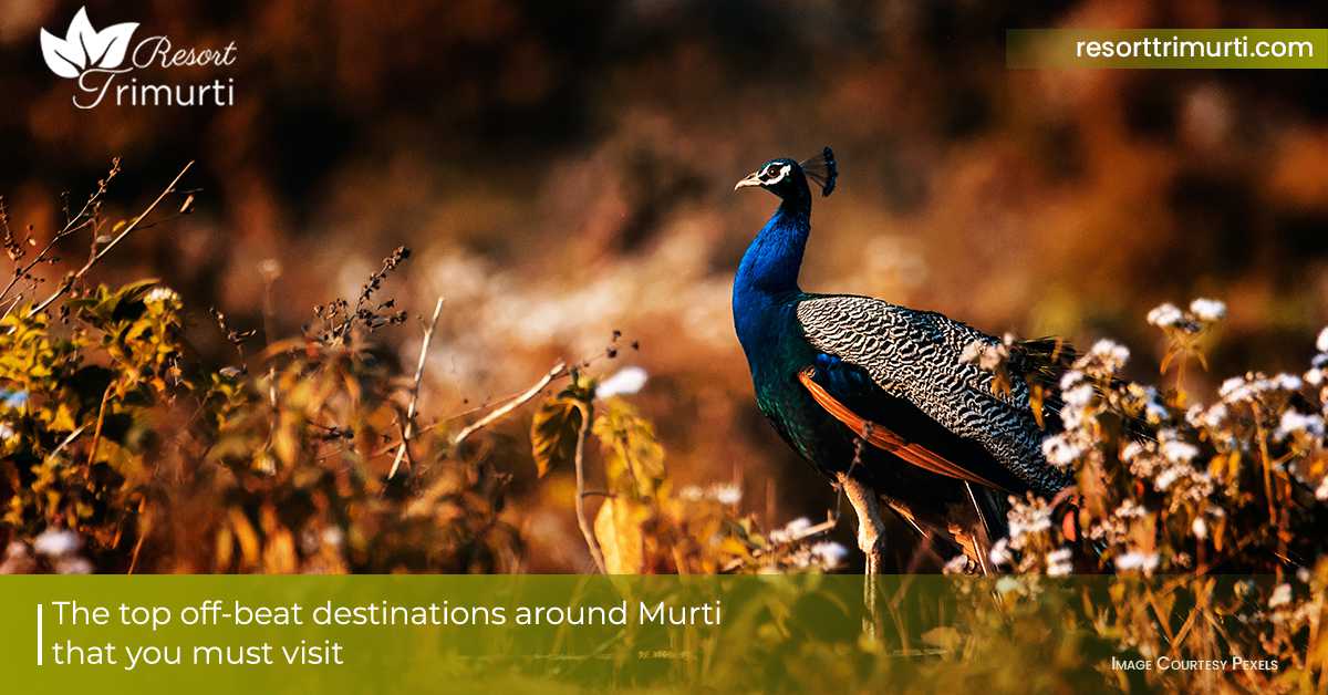 Top Off-Beat Destinations Around Murti That You Must Visit