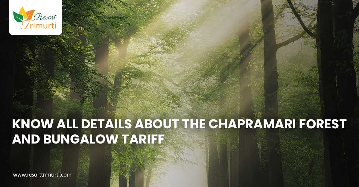 Know all Details about the Chapramari forest and bungalow tariff