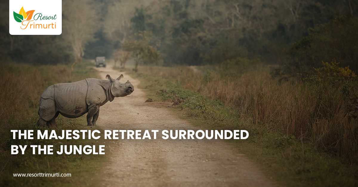 The Majestic Retreat Surrounded By The Jungle