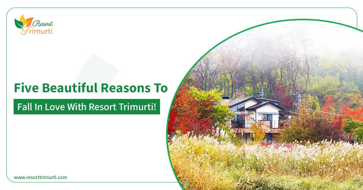 Five Beautiful Reasons to Fall In Love With Resort Trimurti!
